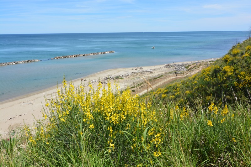 Spiaggia di Fiorenzuola di Focara