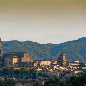 Arezzo skyline