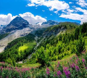 Parco Nazionale dello Stelvio