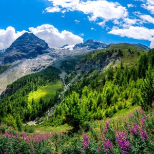 Parco Nazionale dello Stelvio