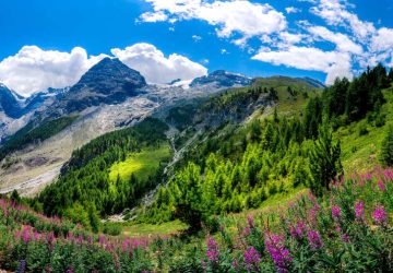 Parco Nazionale dello Stelvio