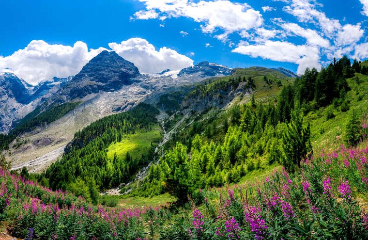 Parco Nazionale dello Stelvio